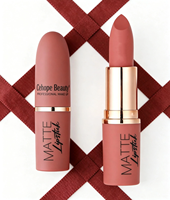 Nouvel Arrivage Rouge à Lèvres Bullet Végétalien Imperméable Fini Mat Velours Givré Anti-transfert Aspect Naturel Gloss à Lèvres Effet Brume Personnalisé OEM