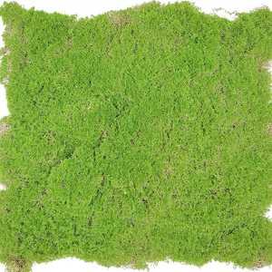 Vente flash : Plantes artificielles en mousse verte, tapis vert pour la décoration de la maison, mousse artificielle pour suspendre au mur, paysage vert pour l'intérieur - Product Image 3