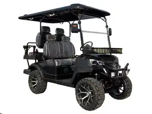 Nhà máy mô hình mới Xe golf 2 chỗ Golf Buggy điện Lithium Golf giỏ hàng