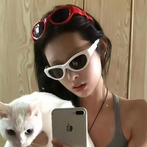 Gafas de Sol Plegables para Mujer, Montura Negra de PC, Lentes Ac Polarizadas con Protección UV400, Tipo 3, Estilo Ovalado, Cyberpunk Y2K - Product Image 5