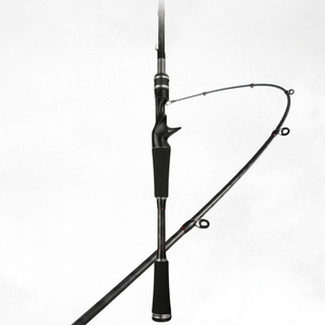 Pêche au bar d'eau douce salée 2 sections M ML <span class=keywords><strong>canne</strong></span> à pêche au leurre en Fiber de carbone 2.1m 2.4m <span class=keywords><strong>canne</strong></span> à lancer <span class=keywords><strong>canne</strong></span> à lancer avec 2 embouts - Product Image 2