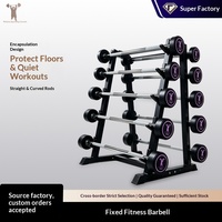 Ensemble d'haltères et barres de musculation droites mini, enveloppées de caoutchouc, pour usage domestique, idéal pour squats, exercices de fessiers et gain de masse musculaire