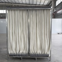Installation facile, faible entretien, durable 40.9 ㎡   Gestion des eaux usées par membrane MBR pour les eaux usées des usines agroalimentaires