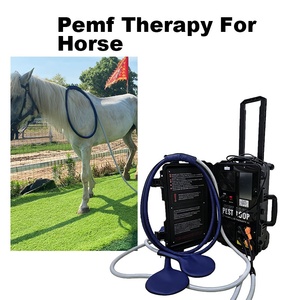 เครื่อง PEMF แบบพกพาสำหรับม้า พร้อมหน้าจอสัมผัสขนาด 7 นิ้ว สำหรับผ่อนคลายกล้ามเนื้อที่ตึงและบรรเทาความเครียดทางร่างกาย - Product Image 1