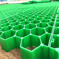 Grilles de pavage en plastique HDPE écologiques LUDE en gros, résistantes à la compression et au vieillissement, design industriel, pour extérieur, noir/vert