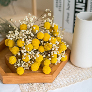 Zhuoou fiori secchi naturali conservati Billy Button essiccato Craspedia Flower Yunnan centrotavola di fiori secchi per Boho Home Decor - Product Image 2