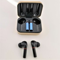 Ugreen-écouteurs tws bluetooth 5.0, oreillettes sans fil, intra-auriculaires avec Microphones, remplaçables, batterie de remplacement