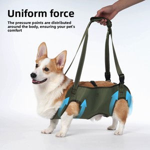 Nuevo Arnés de Rehabilitación para <span class=keywords><strong>Perros</strong></span>, Ajustable, con Correa de Asistencia para Mascotas - Product Image 5