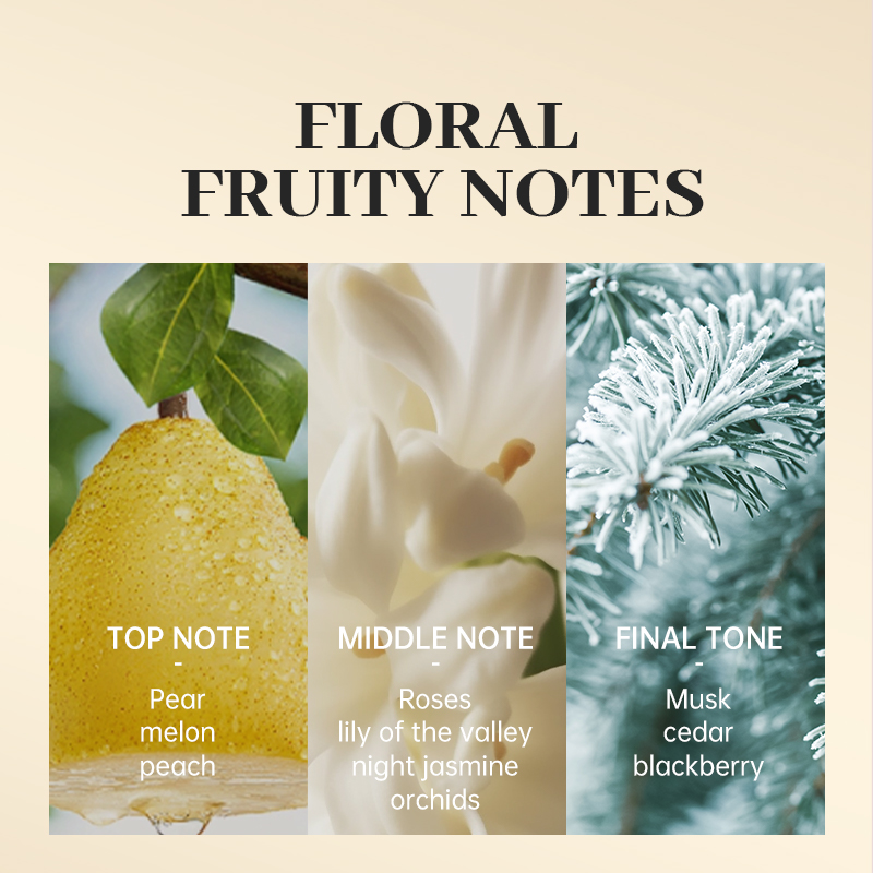 ORANGLES GUCOR 208 Natural Eau De Parfum | 40ml Mini Pocket Spray | Plant Essence Long-Lasting Fragrance – orangles Qatar - full product showcase - displaying specifications - Image 5 of 6 | adapts to any space | GUCOR 208 Natural Eau De Parfum | 40ml Mini Pocket Spray | Plant Essence Long-Lasting Fragrance – orangles Qatar deal New Jersey | Free Shipping ORANGLES