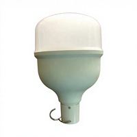 Lampe LED suspendue rechargeable à l'énergie solaire portable 6W, lumière blanche froide 6000K, lampe de secours