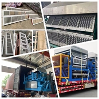 Machine à fabriquer des barquettes à œufs, ligne de production de barquettes à œufs en pulpe de papier, 20 PCS/MIN, 220V 380V, marque NH, équipement automatique haute vitesse