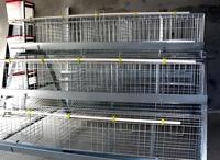 Poulailler à bas prix cage à volaille longue durée couche équipement de ponte pour ferme avicole Jaula Para Pollos Cage Para Manok