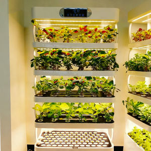 Sistema de Cultivo Hidropónico y Aeropónico Vertical Interior Pequeño, Componente Esencial de Bomba, Luces LED e Irrigación Automática de Nutrientes - Product Image 4