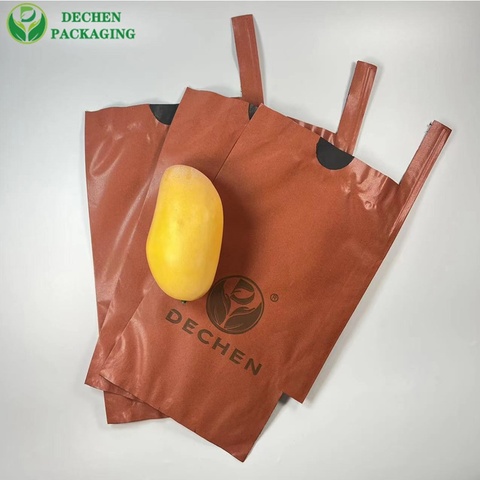 Fruit Mango Covering Bags Sri Lanka Fruit Mango Covering Bags Sri Lanka