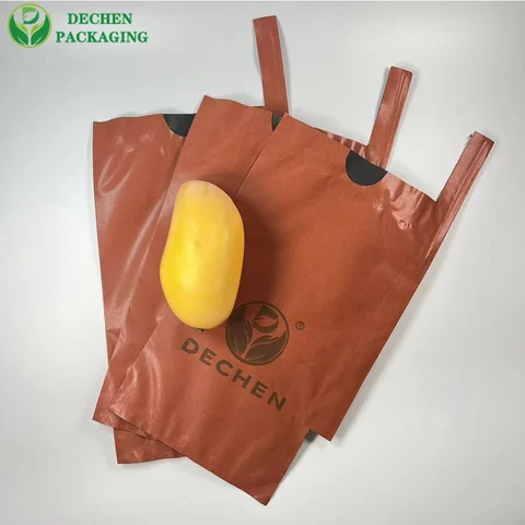 Fruit Mango Covering Bags Sri Lanka