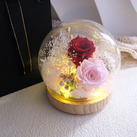 Konservierte Rosenblüten-Kuppel mit LED-Nachtlicht, zwei konservierte Rosen, Muttertag, Geburtstagsgeschenk für Mama, Oma, Heimdekoration für den Tisch.