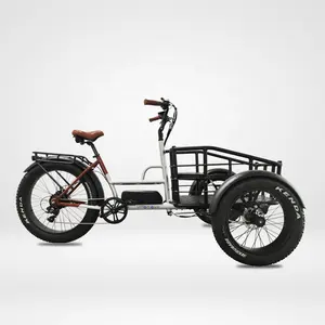 750w potente caricatore frontale Bafang triciclo elettrico 3 ruote e trike cargo bike fat tire trike elettrico