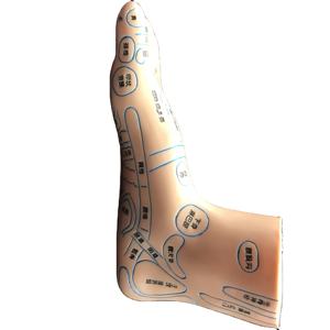 पैर एक्यूपंक्चर बिंदु एनाटॉमी मॉडल पर्यावरण के अनुकूल pvc प्लास्टिक चीनी चिकित्सा शिक्षण उपकरण कक्षा I - Product Image 1