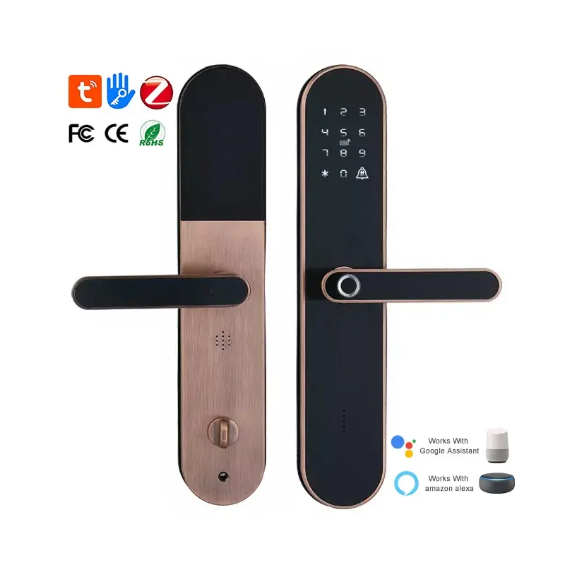 Metallic Handle SDK Verfügbar Biometrischer Finger abdruck Safe Box Lock Hyundai Smart Tuya Passwort Türschloss