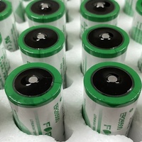 Batterie au lithium intelligente CKXIC ER26500 3.6V pour compteur d'eau, compteur de gaz, débitmètre RAM, compteur PLC