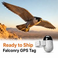 Traceur GPS ultra-léger pour pigeons de course, avec 30 jours d'autonomie et un boîtier IP67, pour les amateurs de pigeonnage