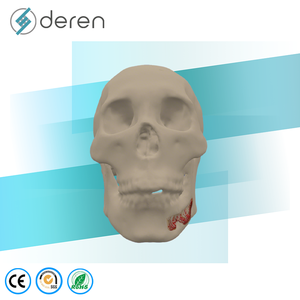 Modelo de Cráneo de Tamaño Real con Mandíbula, Vasos Sanguíneos y Nervios, Herramienta de Anatomía Médica para Entrenamiento Científico - Product Image 1