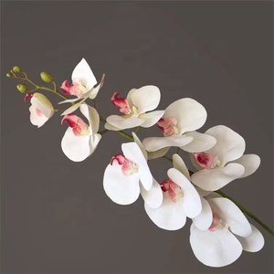 Orquídea Artificial M022, 9 cabezas, color morado, amarillo <span class=keywords><strong>y</strong></span> blanco oscuro, flor de Orquídea Real, seda de látex, orquídea para decoración del hogar <span class=keywords><strong>y</strong></span> boda - Product Image 3