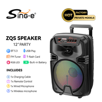 Haut-parleur de fête Blue Tooth portable fort 12 "système de son Sub Woofer karaoké Dj haut-parleur Rechargeable RGB droite avec