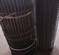 Chaîne en acier inoxydable perforée pour la ligne de séchage industrielle de biscuits enrobés de chocolat