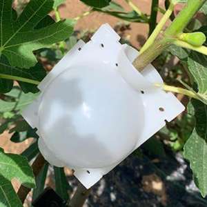 Boîte d'enracinement <span class=keywords><strong>de</strong></span> plantes réutilisable, dispositif <span class=keywords><strong>de</strong></span> boule d'enracinement réutilisable, diffusion haute pression, greffage, Rooter, boîtes pour <span class=keywords><strong>jardin</strong></span> - Product Image 5