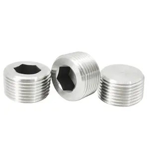 18-8 Stainless Steel Stainless Steel A286 A2 A4 SS304 SS316 SUS304 SUS316 Plain Polished Internal Drive Pipe Plugs DIN906