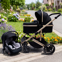 Siège auto convertible, poussette pour nourrisson et enfant en bas âge avec siège réversible et pliage à une main, poussette bébé 3 en 1