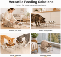 Bol surélevé pour chats et petits chiens en acier inoxydable 304, incliné à 15 degrés, avec logo personnalisé en couleur