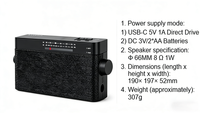 Radio portable AM/FM de type pointeur, récepteur compact noir élégant avec antenne télescopique et poignée de transport