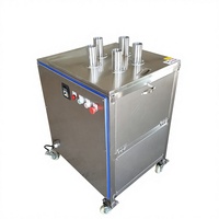 Industriële Roestvrijstalen 304 Automatische Ananas & Wortel Groente Snijmachine Met Motor Hoge Efficiëntie Snijden