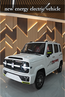 Mini Auto Eléctrico de 4 Ruedas, 330*150*168cm, 2000W, Largo Alcance, Vehículo Eléctrico Pequeño de Cuatro Ruedas para Personas Mayores, Uso Diario