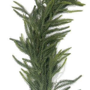 Ghirlanda di aghi di pino Norfolk artificiali morbidi effetto real touch <span class=keywords><strong>per</strong></span> <span class=keywords><strong>decorazioni</strong></span> di <span class=keywords><strong>porte</strong></span> e pareti, <span class=keywords><strong>decorazioni</strong></span> <span class=keywords><strong>natalizie</strong></span> e invernali - Product Image 4
