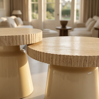 Table basse moderne en bois durable avec peinture brillante, facile à nettoyer, meuble de salon domestique de style panneau