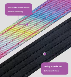 Grenzüberschreitendes neues Prinzessinnen-Stil Hundehalsband aus strapazierfähigem, reißfestem Polyester für mittelgroße und große Hunde, verstellbar, Farbverlauf - Product Image 3