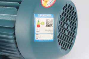 มอเตอร์เหนี่ยวนำไฟฟ้าแบบอะซิงโครนัสสามเฟสสำหรับ IP55 IE3 YE3-100L-6 1500W 1000รอบต่อนาที380V 50Hz ประสิทธิภาพสูง - Product Image 4