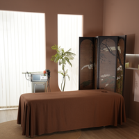Ensemble de draps en flanelle de coton de première qualité marron clair épaissir couvre-lits de beauté Simple Salon de physiothérapie ensemble de lit draps