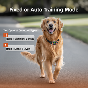 Système de confinement GPS pour animaux de compagnie Collier antichoc rechargeable étanche IPX7 Clôture électrique sans fil pour chiens de taille moyenne et grande - Product Image 2