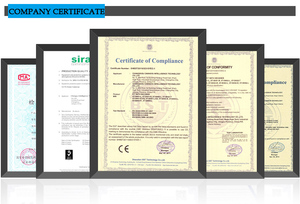 Ip <span class=keywords><strong>1080P</strong></span> 2.0mp Explosion Proof Hồng Ngoại Mạng Cctv <span class=keywords><strong>Camera</strong></span> Với Gạt Nước - Product Image 3