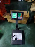 Plataforma Digital Industrial, Báscula Colgante de Acero de 150 kg con Pantalla LCD/LED, Precisión de 50 g, para Tiendas de Productos Frescos