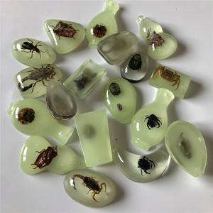 Wowei, venta al por mayor, pequeño espécimen Real, insecto, ámbar, accesorios, juguetes para niños, accesorios, espécimen de resina - Product Image 5