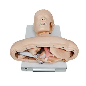 SY-N044 Dummy First Aid Manikin For Cpr Training Medical Training Cpr Cpr Manikins Training