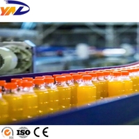 Machine de remplissage automatique de jus, ligne de production de jus de fruits en PET