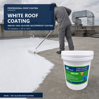 Scellant imperméable en silicone liquide pour la construction, revêtement de toiture, membrane de pulvérisation