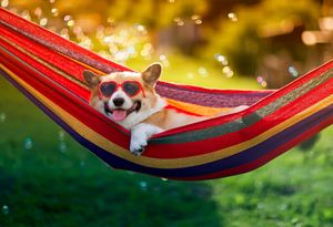 <span class=keywords><strong>Hamaca</strong></span> <span class=keywords><strong>de</strong></span> <span class=keywords><strong>lona</strong></span> cama <span class=keywords><strong>plegable</strong></span> colgante al por mayor columpio portátil al aire libre <span class=keywords><strong>hamaca</strong></span> para acampar - Product Image 5