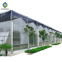Serre en polycarbonate Venlo, serres hydroponiques pour l'agriculture